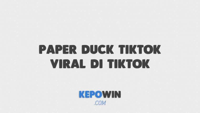Paper Duck Tiktok Viral