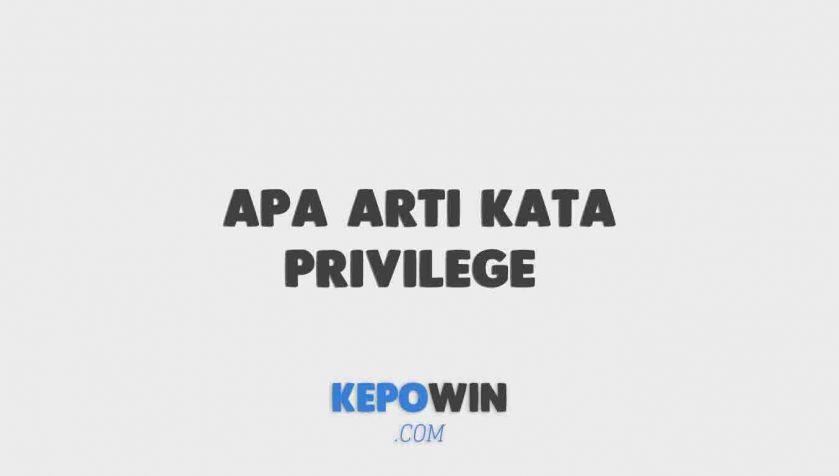 Apa Arti Kata Privilege Dalam Bahasa Indonesia